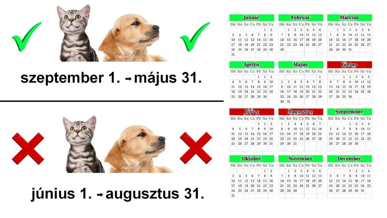 Vadaszles Vendeghaz *